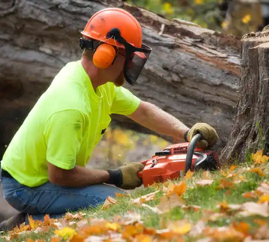 tree services Sayville